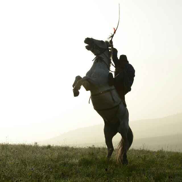 學海無涯，伏櫪前行